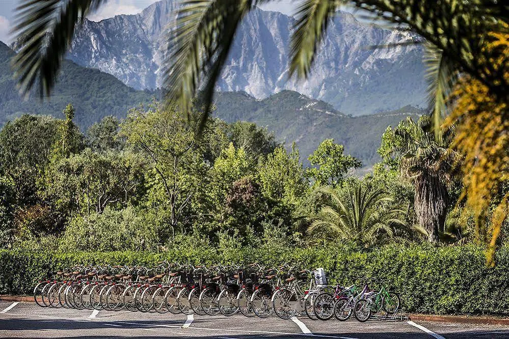 Versilia Holidays Hotel Forte dei Marmi